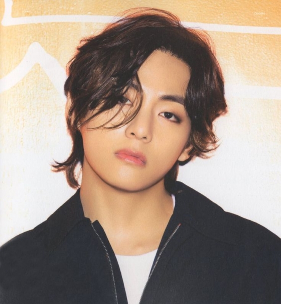 BTS V ranked first in the increase of Korean Instagram followers in April